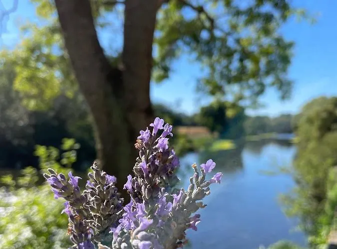 Villa Casa Del Jaguar Gorges (Pays de la Loire)